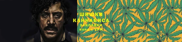ПСИЛОЦИБИНОВЫЕ ГРИБЫ Баксан