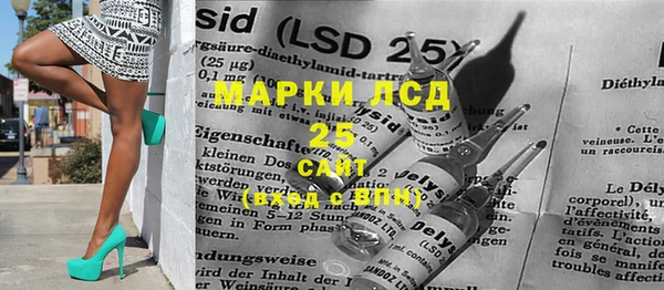 ПСИЛОЦИБИНОВЫЕ ГРИБЫ Балахна