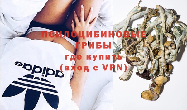 ПСИЛОЦИБИНОВЫЕ ГРИБЫ Баксан