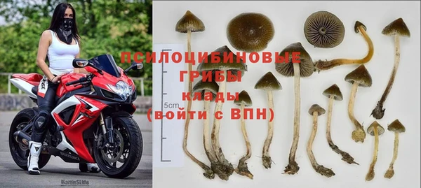 крисы Беломорск